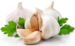 garlic